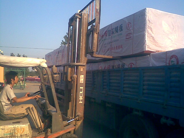 �S�ｨ��ģ���Ԕ��(x��)��B