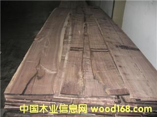 ����Ԕ��(x��)��B