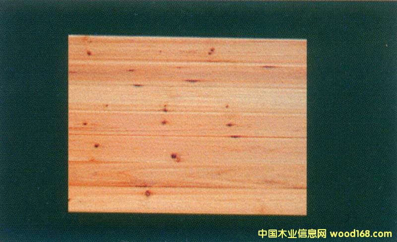 ��ľ�����Ԕ����B