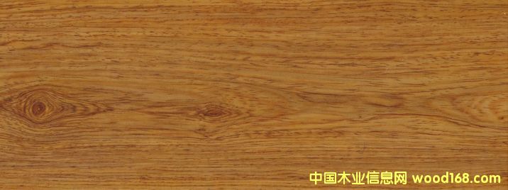 �N�漈��Ԕ��(x��)��B