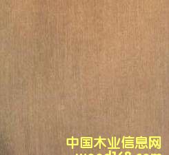 ���s���Ӱ�