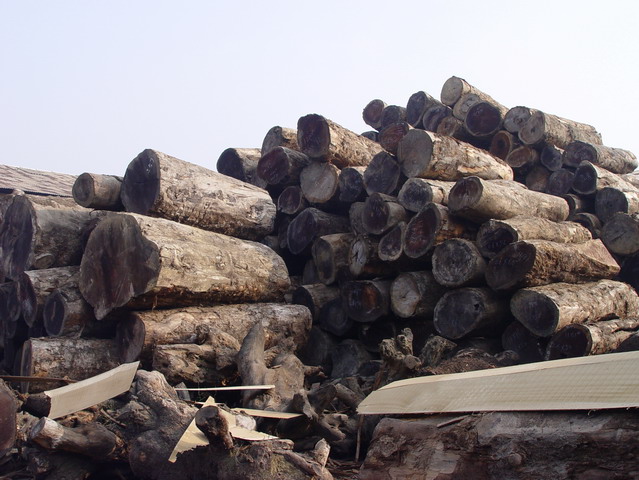 �S���ľ��Ԕ��(x��)��B