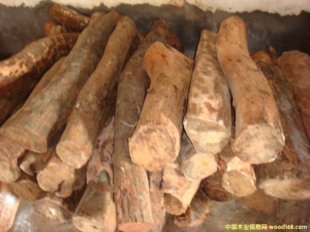 ���S̴��Ԕ��(x��)��B