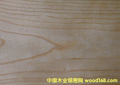 ����ľƤ��Ԕ��(x��)��B