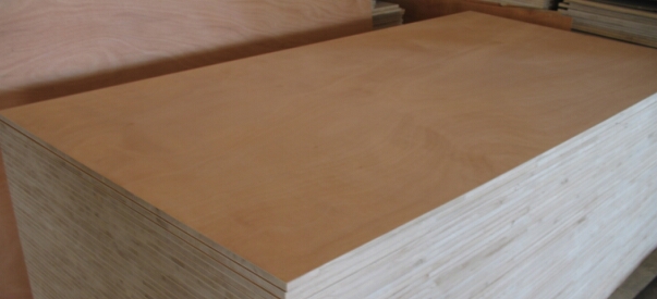 ����(y��ng)ͩľ��(x��)ľ����