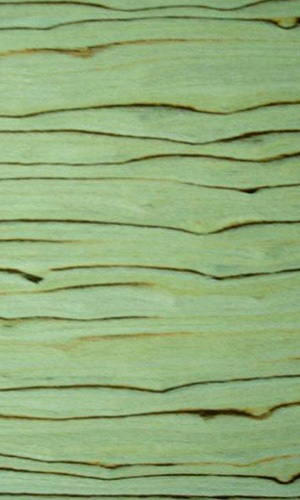 �ױ����Ԕ��(x��)��B