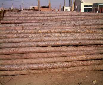 ľ��(�_�ְ�)��Ԕ����B