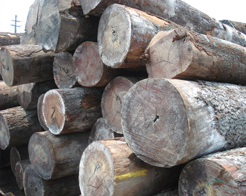 ����ԭľ��Ԕ����B