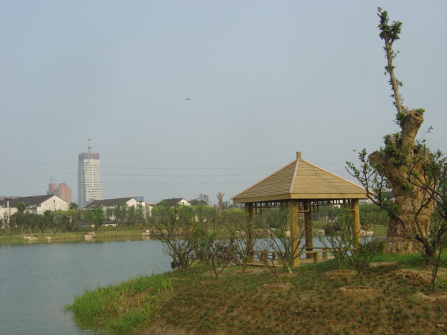 ��ͤ��Ԕ��(x��)��B