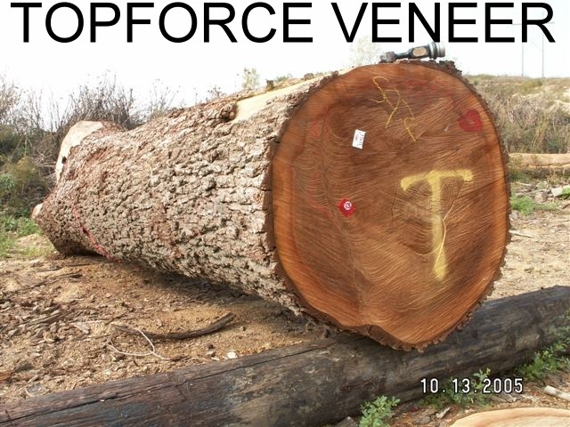 ����(gu��)�ں������м�(j��)ԭľ(����)��Ԕ��(x��)��B