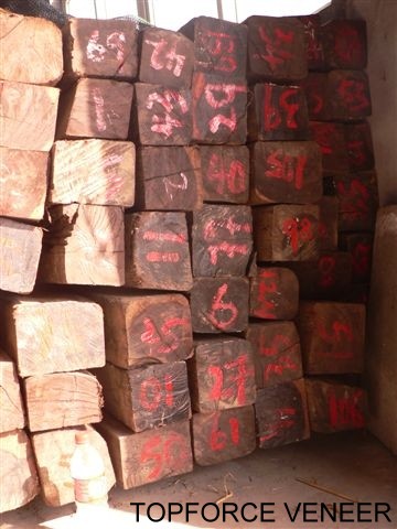 ӡ�����������ں�̴ľ��(�F(xi��n)؛-����)��Ԕ��(x��)��B