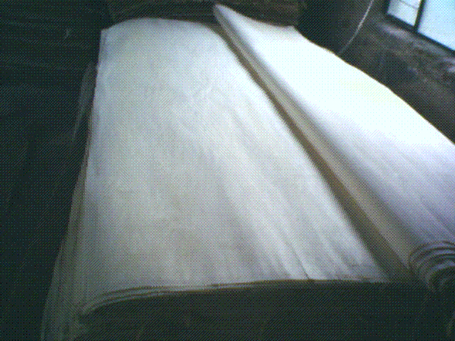 ��ľ��Ƥ Ư�׵�Ԕ��(x��)��B