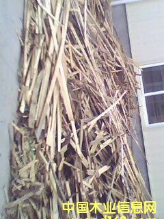 ľмľ��ľмľƤľƬ��Ԕ����B