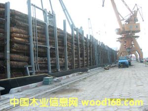 ������ɼ��Ԕ����B