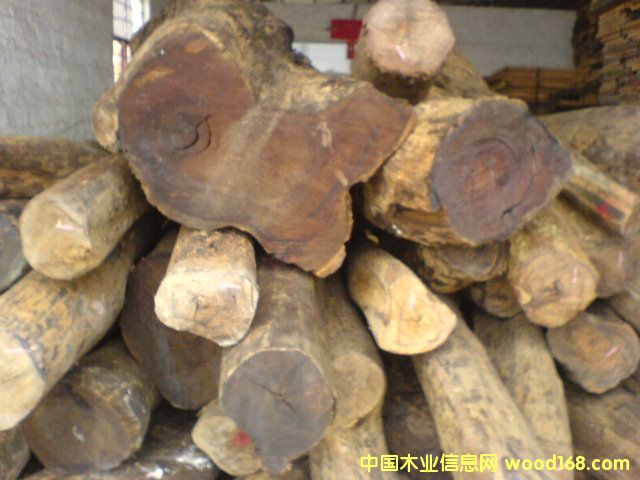 ��֦��Ԕ��(x��)��B