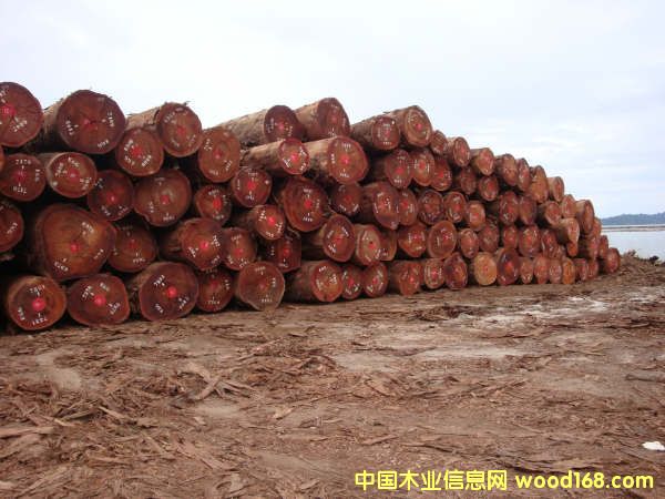 okan��Ԕ��(x��)��B