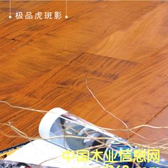 �OƷ����Ӱ ��ؐ��Ԕ��(x��)��B