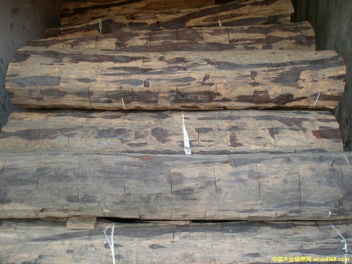 ��t��֦��Ԕ��(x��)��B