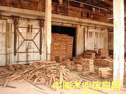 ��ľ��Ԕ����B