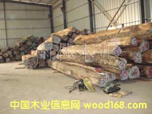 ��ľ��Ԕ����B