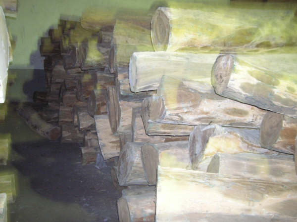 ��Ƥ�G̴��Ԕ����B