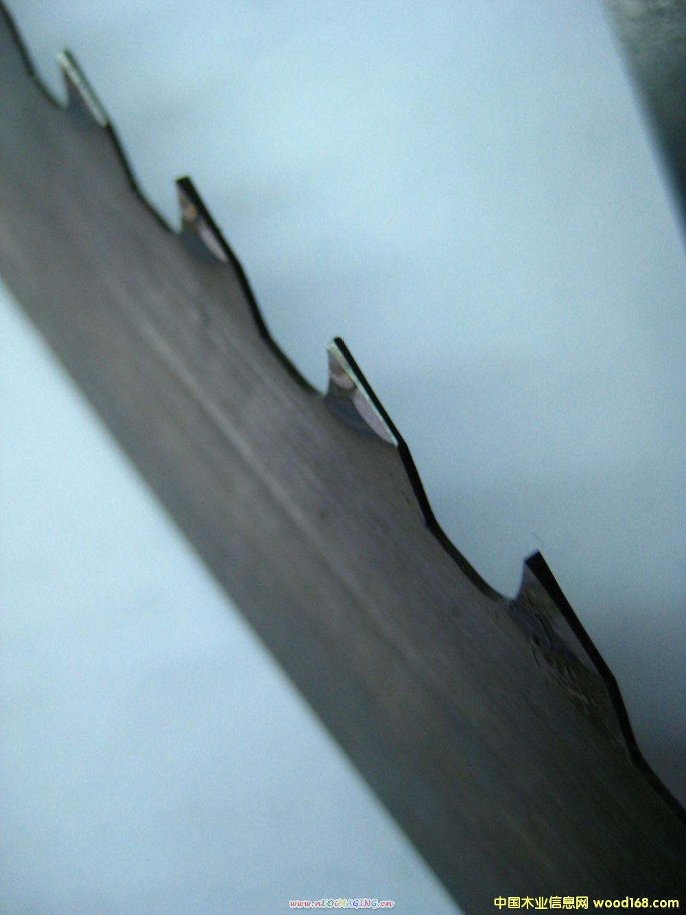 ��䏗l��Ԕ��(x��)��B