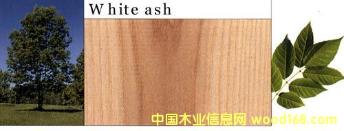 ����(gu��)ˮ������Ԕ��(x��)��B