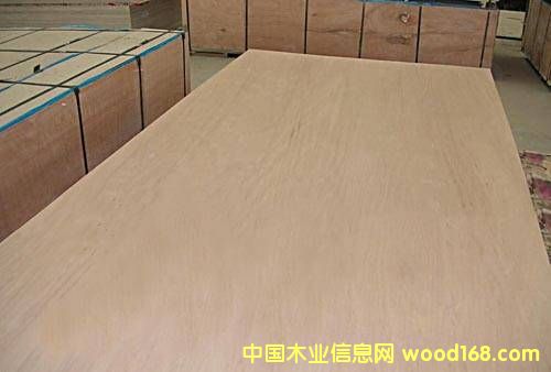 ��ľ�Tо���Ԕ����B