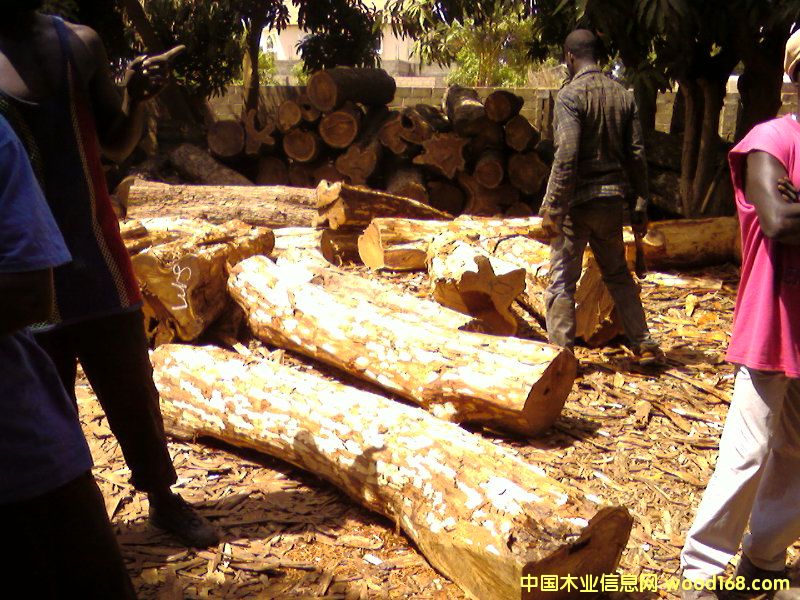 ԭľ2��Ԕ��(x��)��B