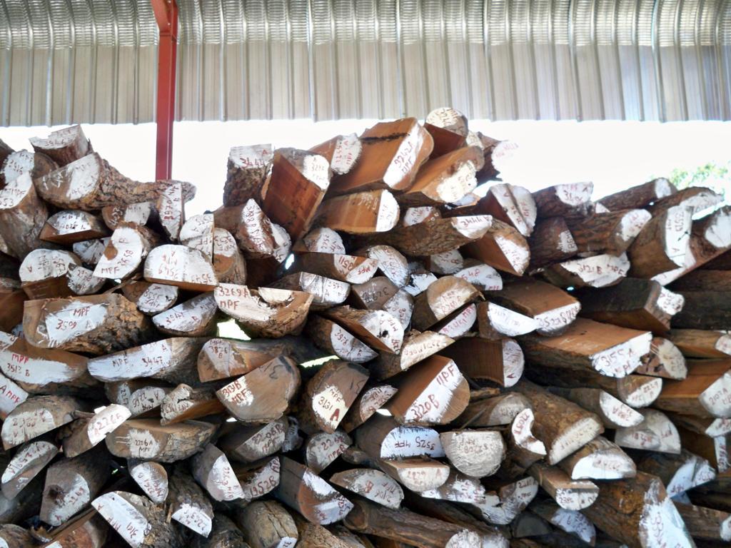 С�~�t̴��Ԕ��(x��)��B