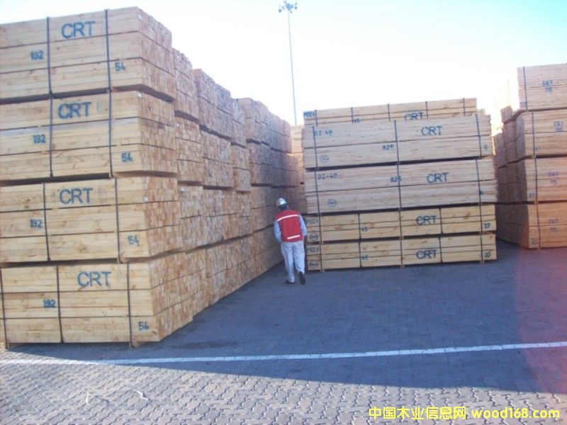 ������01��Ԕ����B