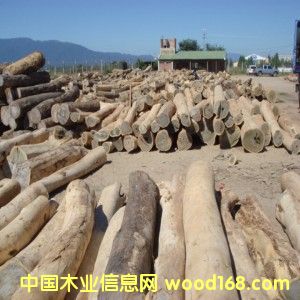 03�G̴��(Palo Santo)��Ƥԭľ��Ԕ����B