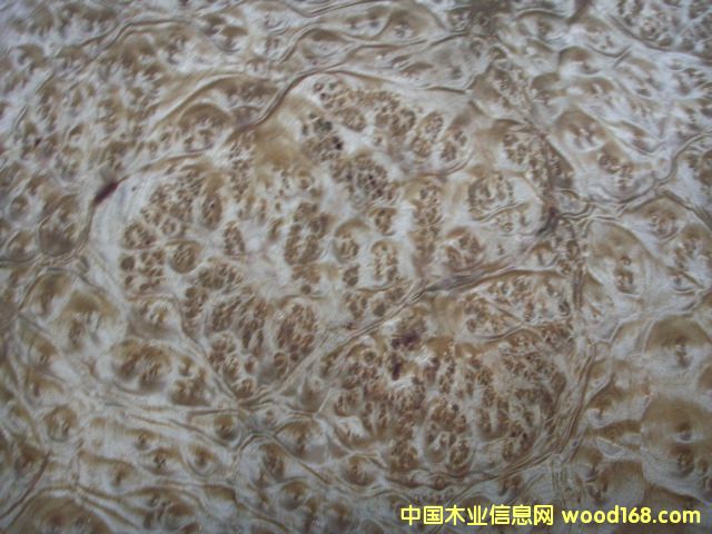 ɽ���������Ƥ