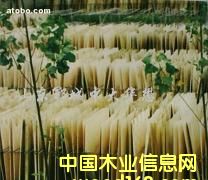 �п����o���ΰ��Ԕ��(x��)��B