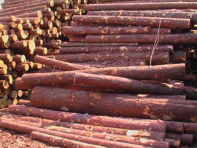 ���_˹ԭľ-���~��Ԕ��(x��)��B