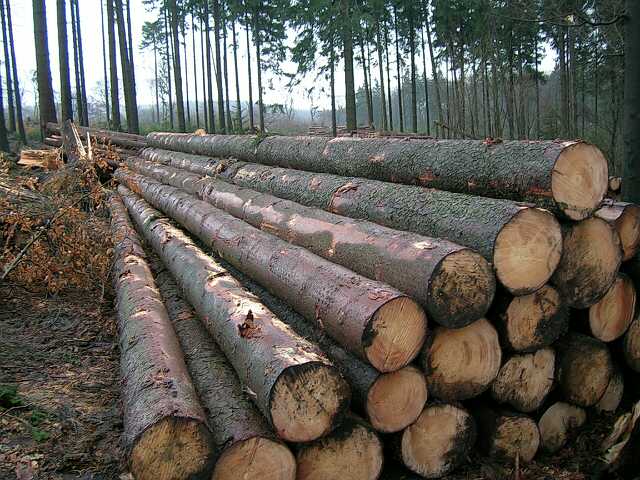 ����ɼ��Ԕ��(x��)��B