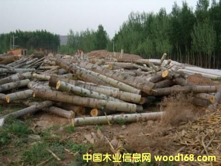 ��ľԭľ��Ԕ����B