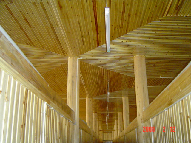 �۰壳��Ԕ����B