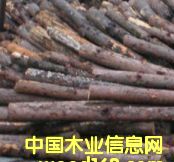 ԭľ��Ԕ��(x��)��B