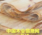 ��Ƥ��Ԕ��(x��)��B