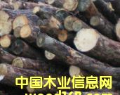 ԭľ��Ԕ��(x��)��B