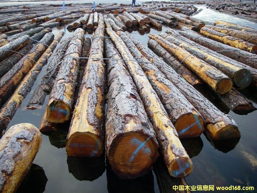 �����ɵ�Ԕ��(x��)��B