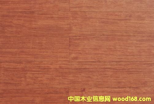 �ʰͶ�-��(sh��)ľ����ذ��Ԕ��(x��)��B