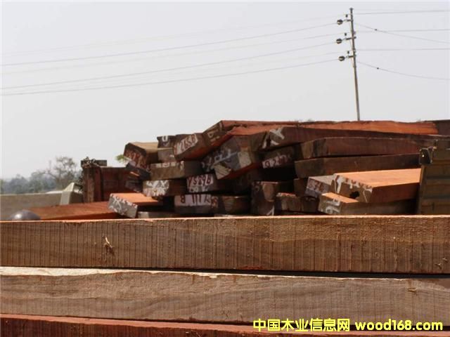 �c(di��n)���鿴����Ѫ̴ԭľ�Ŵ�DƬ