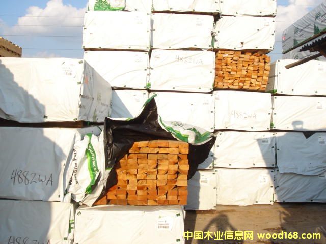 ���ô��Fɼ