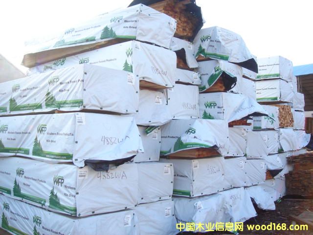 �M(j��n)��ľ��