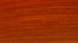 ����ᶹ��Ԕ��(x��)��B