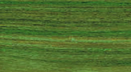 ��̴���Ԕ��(x��)��B