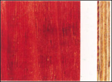 �� �����z�t���Ԕ��(x��)��B