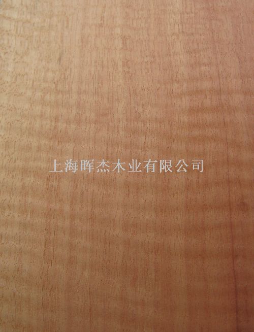 �tӰ ľƤ��Ԕ��(x��)��B